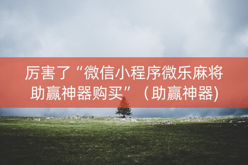 厉害了“微信小程序微乐麻将助赢神器购买”（助赢神器)