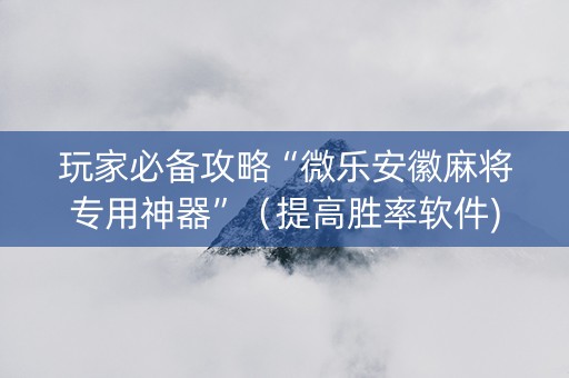 玩家必备攻略“微乐安徽麻将专用神器”（提高胜率软件)