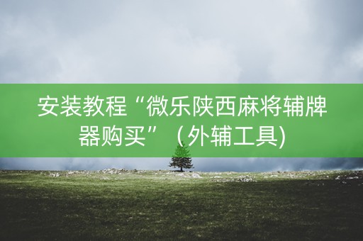 安装教程“微乐陕西麻将辅牌器购买”（外辅工具)