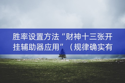 胜率设置方法“财神十三张开挂辅助器应用”（规律确实有挂)