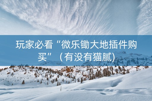 玩家必看“微乐锄大地插件购买”（有没有猫腻)