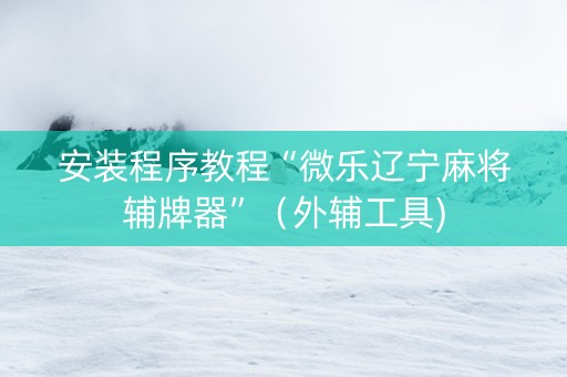安装程序教程“微乐辽宁麻将辅牌器”（外辅工具)