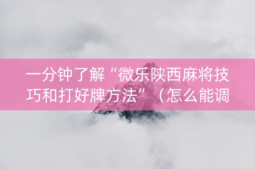 一分钟了解“微乐陕西麻将技巧和打好牌方法”（怎么能调好牌)
