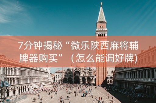 7分钟揭秘“微乐陕西麻将辅牌器购买”（怎么能调好牌)