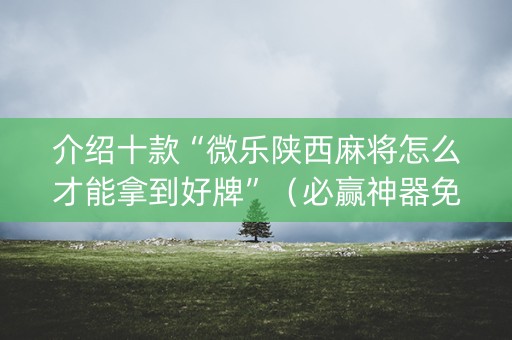 介绍十款“微乐陕西麻将怎么才能拿到好牌”（必赢神器免费安装)