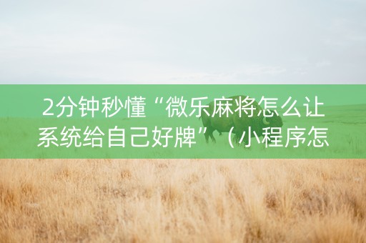 2分钟秒懂“微乐麻将怎么让系统给自己好牌”（小程序怎么才会赢)