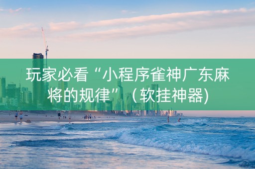 玩家必看“小程序雀神广东麻将的规律”（软挂神器)