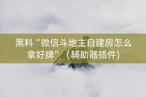 黑料“微信斗地主自建房怎么拿好牌”（辅助器插件)