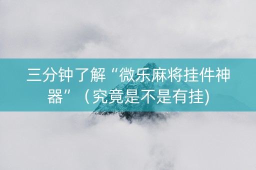 三分钟了解“微乐麻将挂件神器”（究竟是不是有挂)