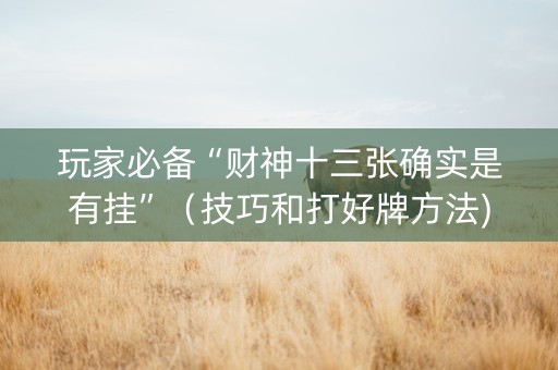 玩家必备“财神十三张确实是有挂”（技巧和打好牌方法)