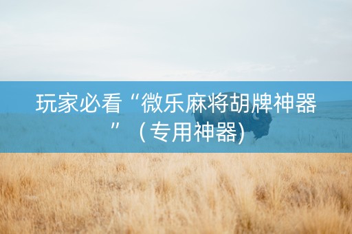 玩家必看“微乐麻将胡牌神器”（专用神器)