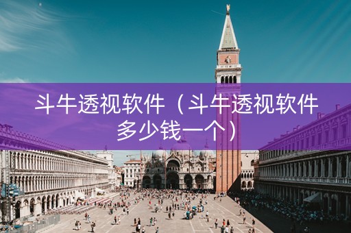 斗牛透视软件（斗牛透视软件多少钱一个）
