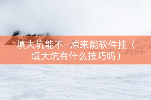 填大坑能不—原来能软件挂（填大坑有什么技巧吗）