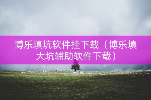 博乐填坑软件挂下载（博乐填大坑辅助软件下载）