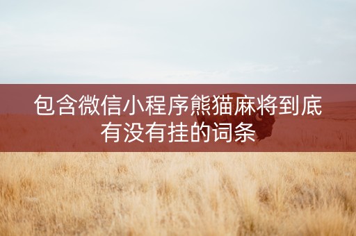 包含微信小程序熊猫麻将到底有没有挂的词条