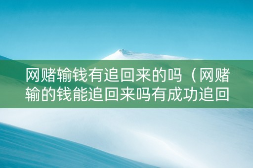网赌输钱有追回来的吗（网赌输的钱能追回来吗有成功追回的吗）