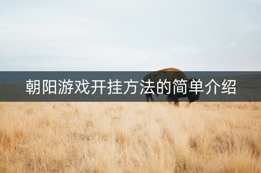 朝阳游戏开挂方法的简单介绍