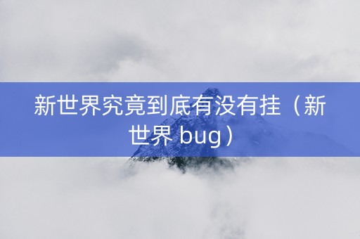 新世界究竟到底有没有挂（新世界 bug）