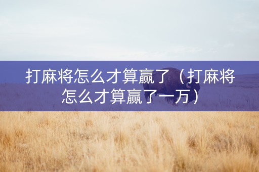 打麻将怎么才算赢了（打麻将怎么才算赢了一万）