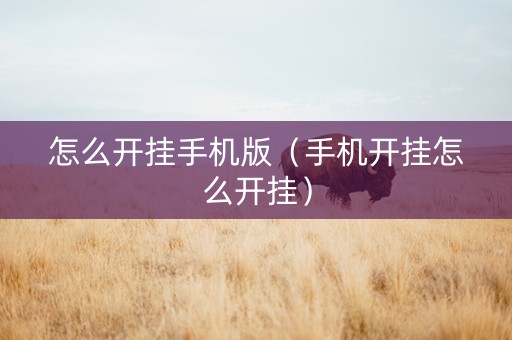 怎么开挂手机版（手机开挂怎么开挂）