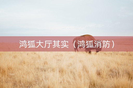 鸿狐大厅其实（鸿狐消防）