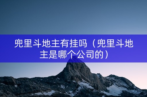 兜里斗地主有挂吗（兜里斗地主是哪个公司的）