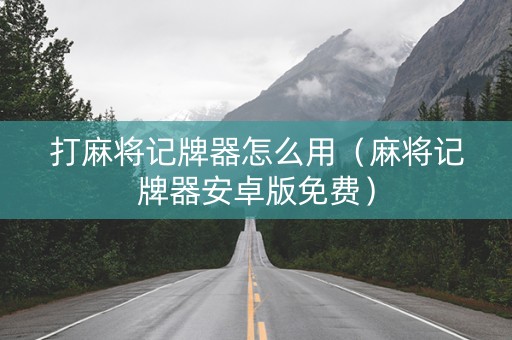 打麻将记牌器怎么用（麻将记牌器安卓版免费）