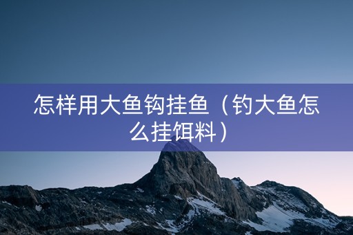 怎样用大鱼钩挂鱼（钓大鱼怎么挂饵料）