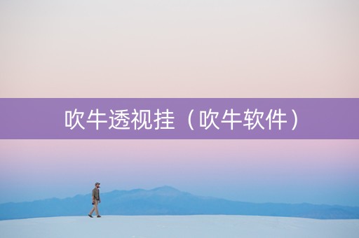 吹牛透视挂（吹牛软件）