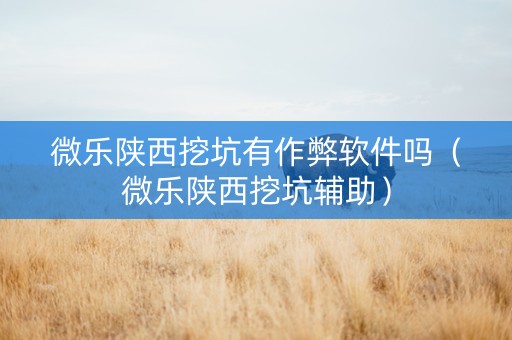 微乐陕西挖坑有作弊软件吗（微乐陕西挖坑辅助）