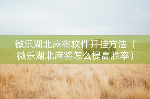 微乐湖北麻将软件开挂方法（微乐湖北麻将怎么提高胜率）