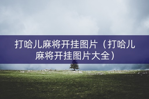 打哈儿麻将开挂图片（打哈儿麻将开挂图片大全）