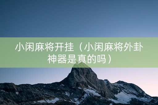小闲麻将开挂（小闲麻将外卦神器是真的吗）