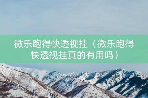 微乐跑得快透视挂（微乐跑得快透视挂真的有用吗）