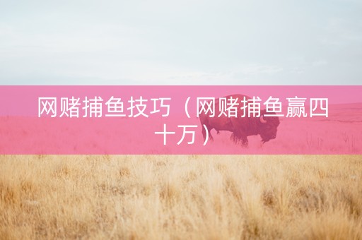 网赌捕鱼技巧（网赌捕鱼赢四十万）