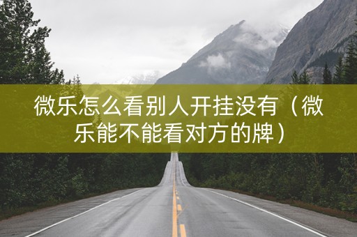 微乐怎么看别人开挂没有（微乐能不能看对方的牌）