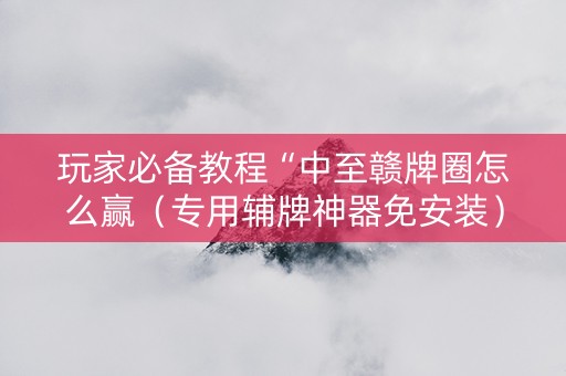 玩家必备教程“中至赣牌圈怎么赢（专用辅牌神器免安装）