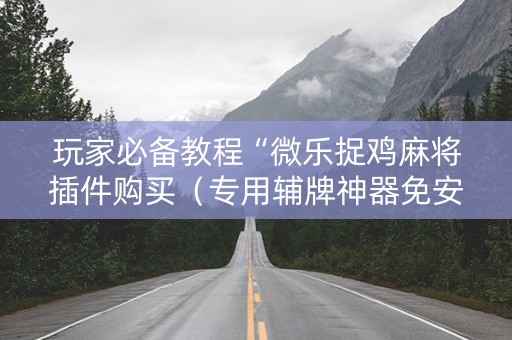 玩家必备教程“微乐捉鸡麻将插件购买（专用辅牌神器免安装）