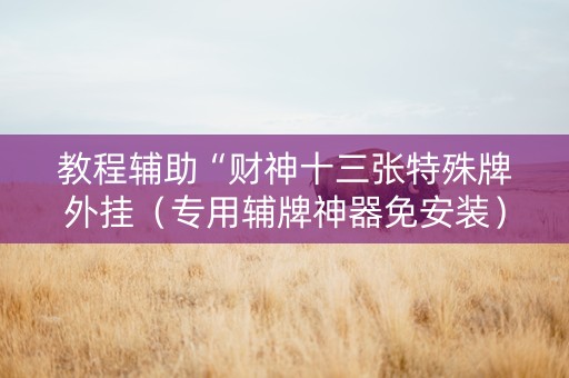 教程辅助“财神十三张特殊牌外挂（专用辅牌神器免安装）
