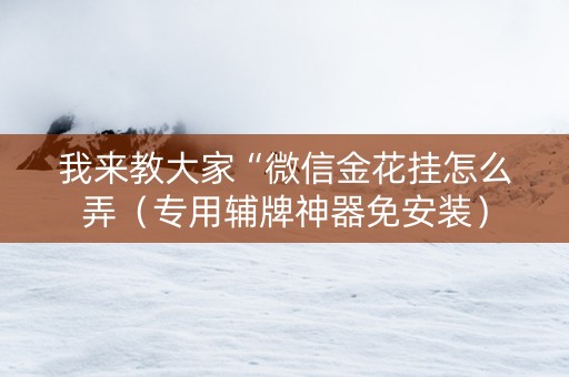 我来教大家“微信金花挂怎么弄（专用辅牌神器免安装）