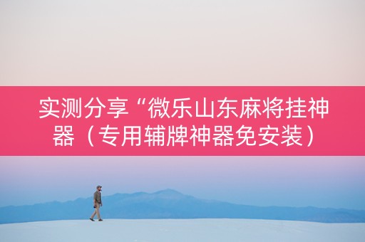 实测分享“微乐山东麻将挂神器（专用辅牌神器免安装）