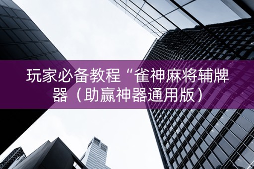 玩家必备教程“雀神麻将辅牌器（助赢神器通用版）