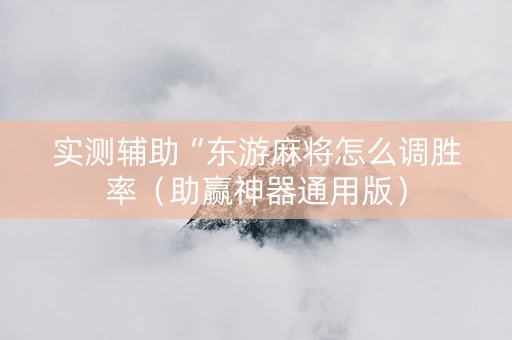 实测辅助“东游麻将怎么调胜率（助赢神器通用版）