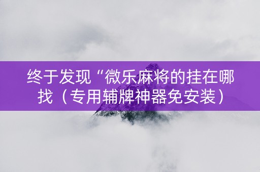 终于发现“微乐麻将的挂在哪找（专用辅牌神器免安装）