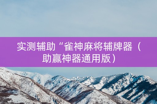 实测辅助“雀神麻将辅牌器（助赢神器通用版）