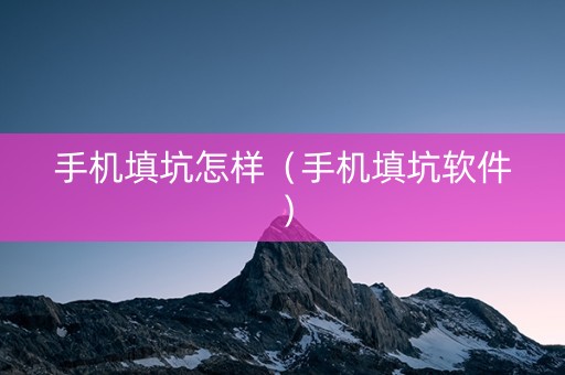 手机填坑怎样（手机填坑软件）