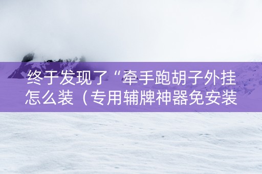 终于发现了“牵手跑胡子外挂怎么装（专用辅牌神器免安装）
