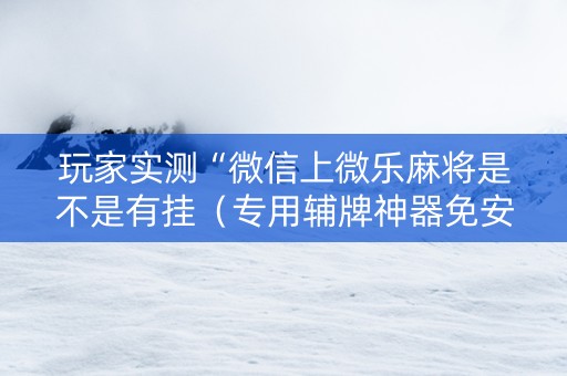 玩家实测“微信上微乐麻将是不是有挂（专用辅牌神器免安装）