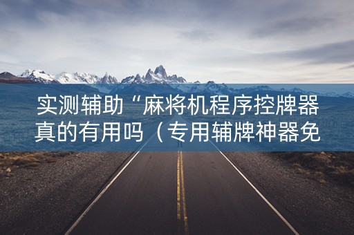 实测辅助“麻将机程序控牌器真的有用吗（专用辅牌神器免安装）