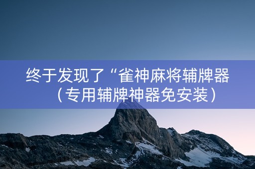 终于发现了“雀神麻将辅牌器（专用辅牌神器免安装）